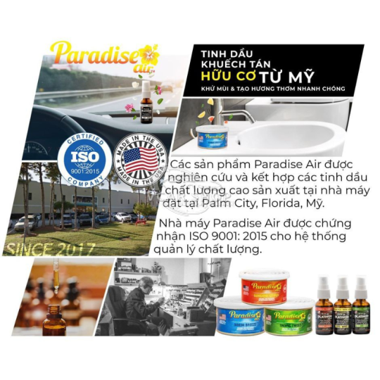Cam + Oải Hương  - Lon Thanh Nén Tinh Dầu Platinum PARADISE AIR 52g lưu hương 100 ngày | Nhập Khẩu Hoa Kỳ