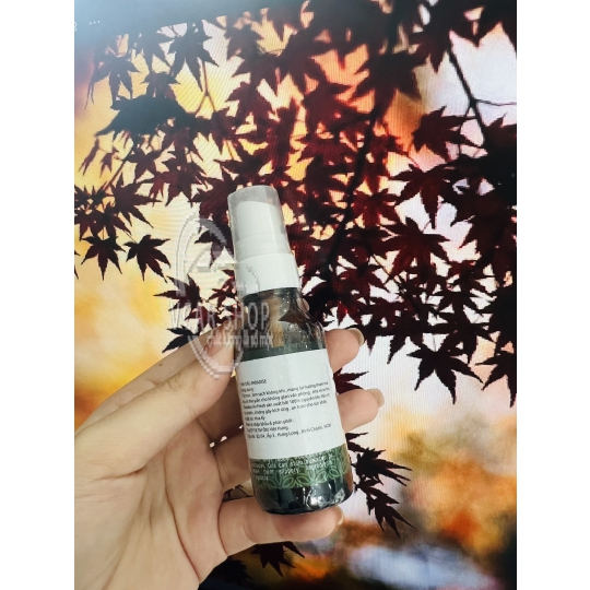  BAMBOO –  Tinh dầu nguyễn chất PARADISE AIR 25ml | Tinh dầu cho máy phun sương khuếch tán |  Nhập Khẩu Hoa Kỳ.